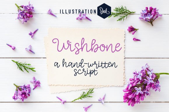 Elevate Web Design with the Wishbone Script Typeface