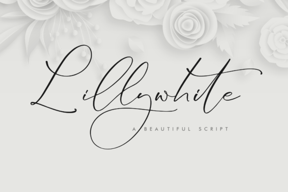 Lillywhite: The Luxurious Script Typeface for Modern Brands