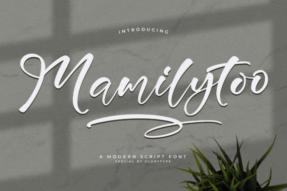 Mamilytoo Font Review: A Modern Script for Branding
