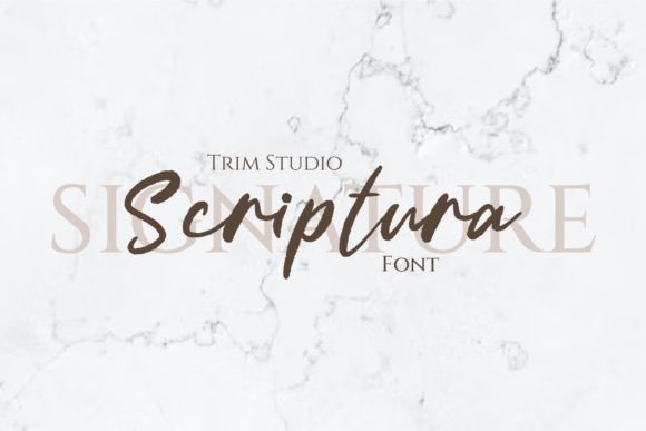 Scriptura: A Timeless Script Font for Web Headers