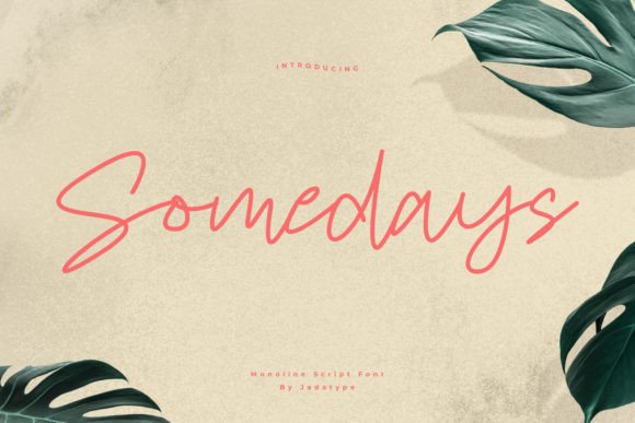Somedays: A Modern Script Font for Editorial Design