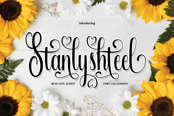 Stanlyshteel: The Elegant Script Font for High-Impact Campaigns