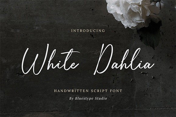 White Dahlia: A Dazzling Script Font for Editorial Design